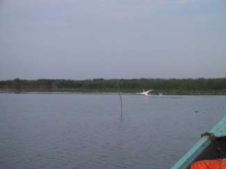 IMG_0673.JPG